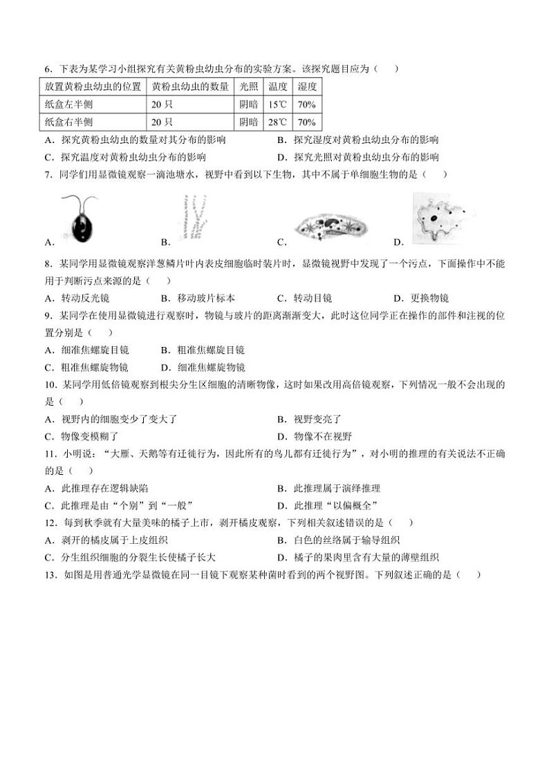 山东省德州市夏津县2024~2025学年七年级(上)期中生物试卷(含答案)02