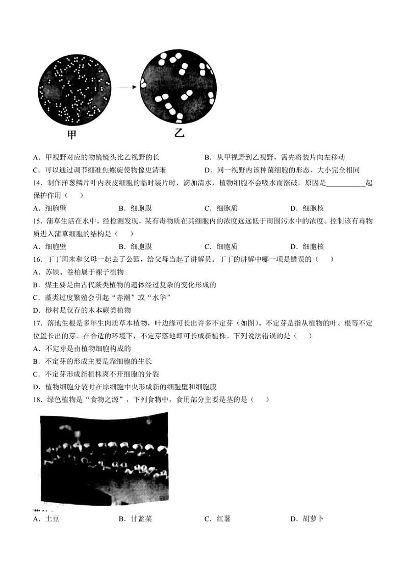 山东省德州市夏津县2024~2025学年七年级(上)期中生物试卷(含答案)03