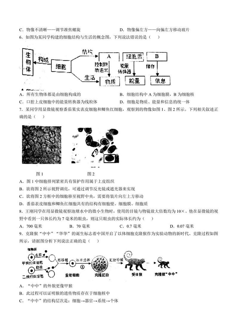 山东省德州市庆云县2024~2025学年七年级(上)期中生物试卷(含答案)02