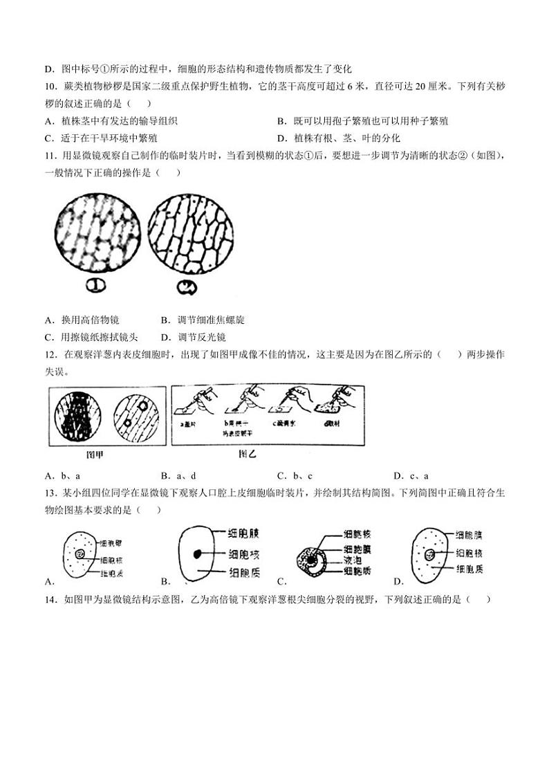 山东省德州市庆云县2024~2025学年七年级(上)期中生物试卷(含答案)03