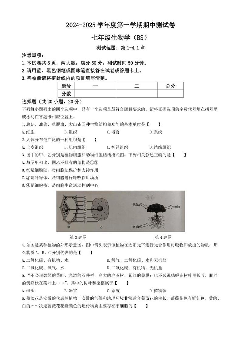 河南省新乡市卫辉市2024~2025学年七年级(上)期中生物试卷(含答案)第1页
