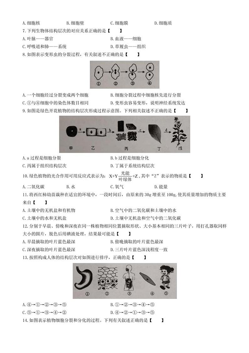 河南省新乡市卫辉市2024~2025学年七年级(上)期中生物试卷(含答案)第2页