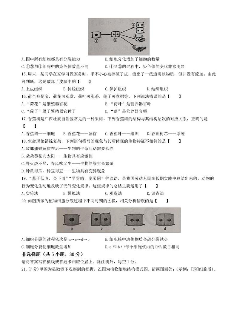 河南省新乡市卫辉市2024~2025学年七年级(上)期中生物试卷(含答案)第3页