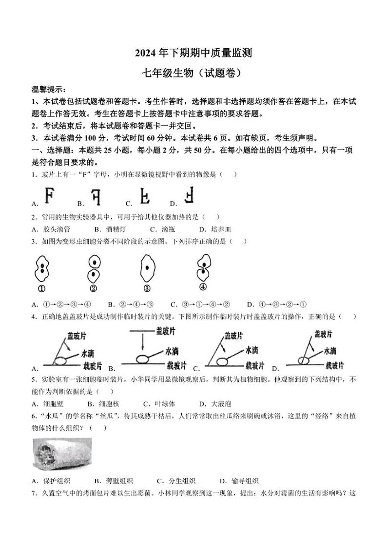 湖南省永州市新田县2024~2025学年七年级(上)期中生物试卷(含答案)第1页