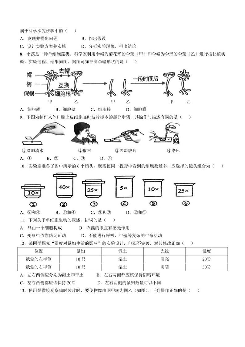 湖南省永州市新田县2024~2025学年七年级(上)期中生物试卷(含答案)第2页