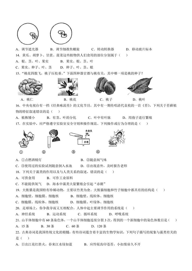湖南省永州市新田县2024~2025学年七年级(上)期中生物试卷(含答案)第3页