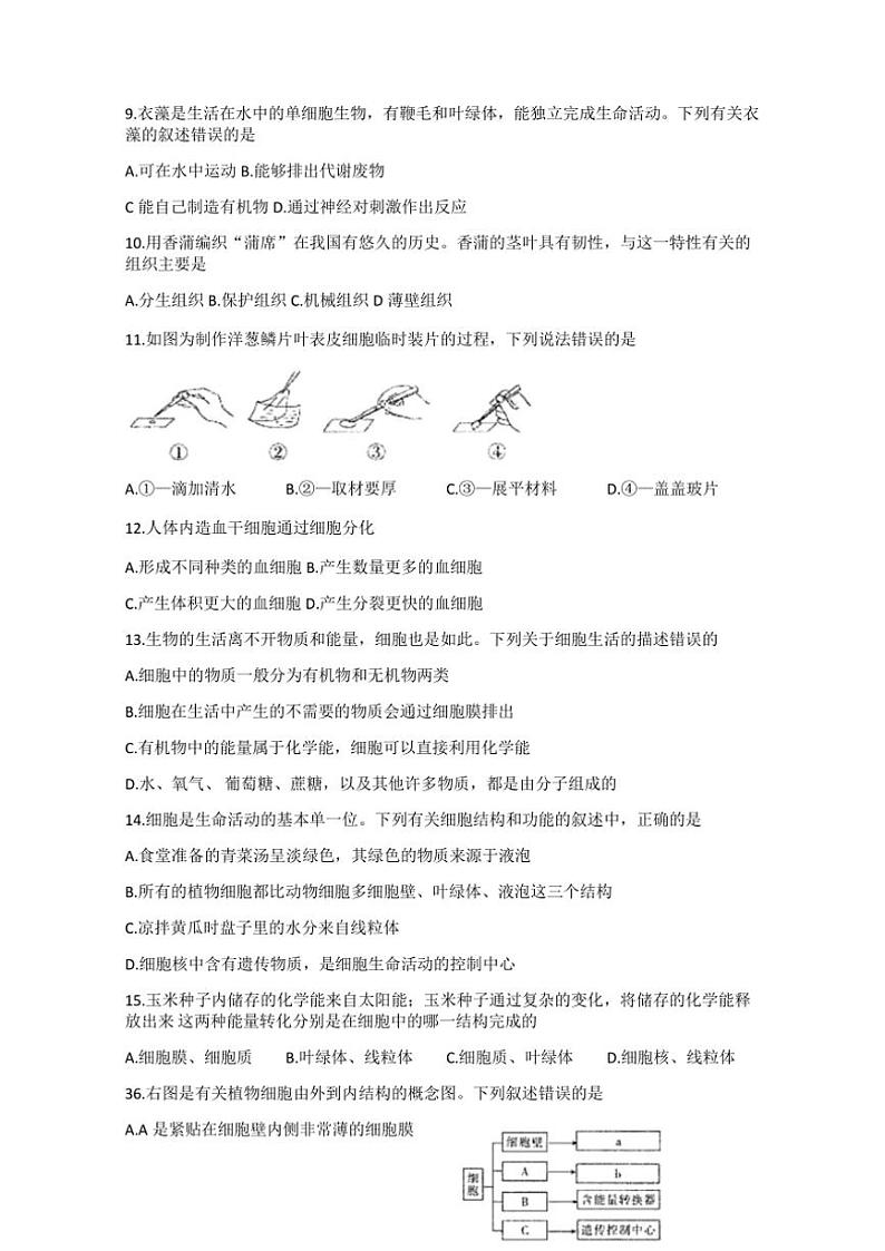 四川省绵阳市三台县2024~2025学年七年级(上)期中生物试卷(含答案)第2页