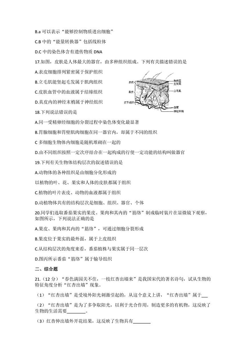 四川省绵阳市三台县2024~2025学年七年级(上)期中生物试卷(含答案)第3页