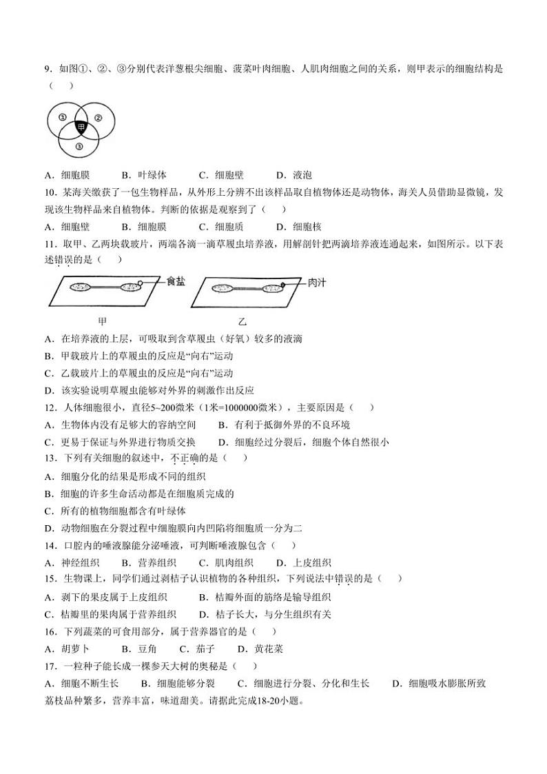 福建省龙岩市新罗区2024~2025学年七年级(上)期中生物试卷(含答案)第2页