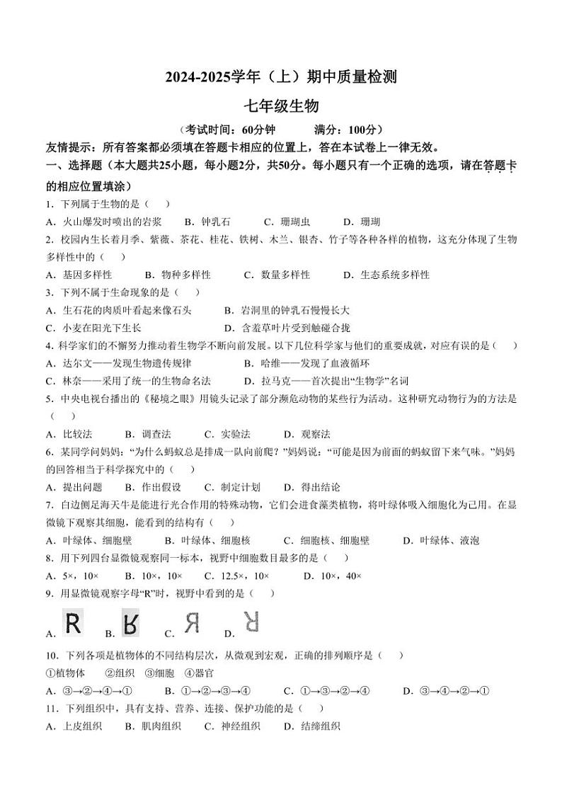 福建省南平市光泽县2024~2025学年七年级(上)期中生物试卷(含答案)01