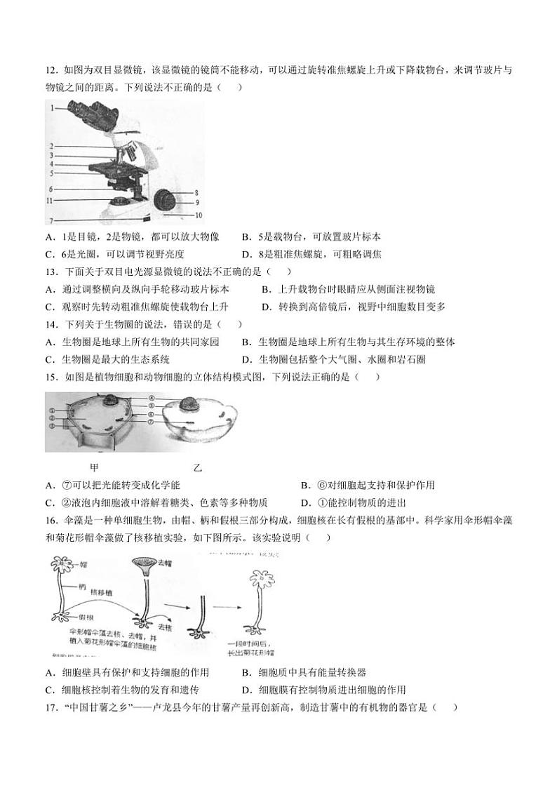 福建省南平市光泽县2024~2025学年七年级(上)期中生物试卷(含答案)02