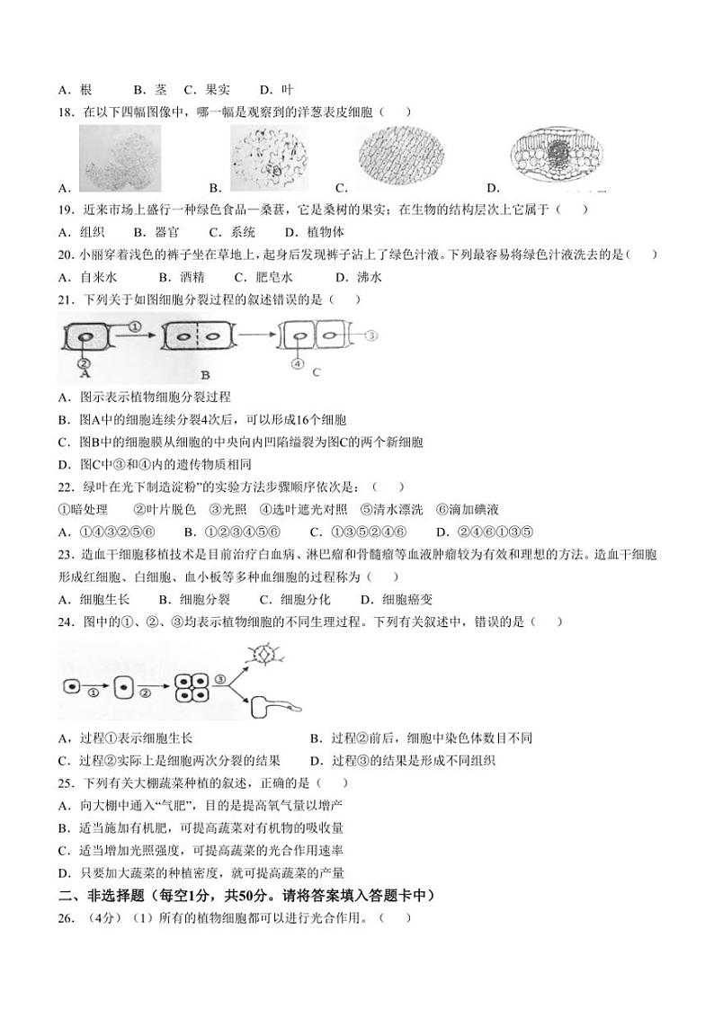 福建省南平市光泽县2024~2025学年七年级(上)期中生物试卷(含答案)03