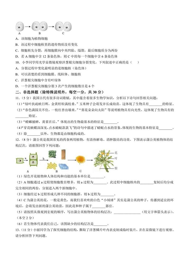 湖北省恩施州利川市民族实验中学2024~2025学年七年级(上)期中生物试卷(含答案)第2页
