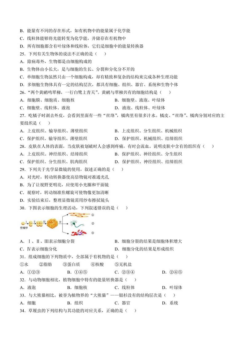 重庆市潼南区初中学校联考2024~2025学年七年级(上)期中生物试卷(含答案)第3页