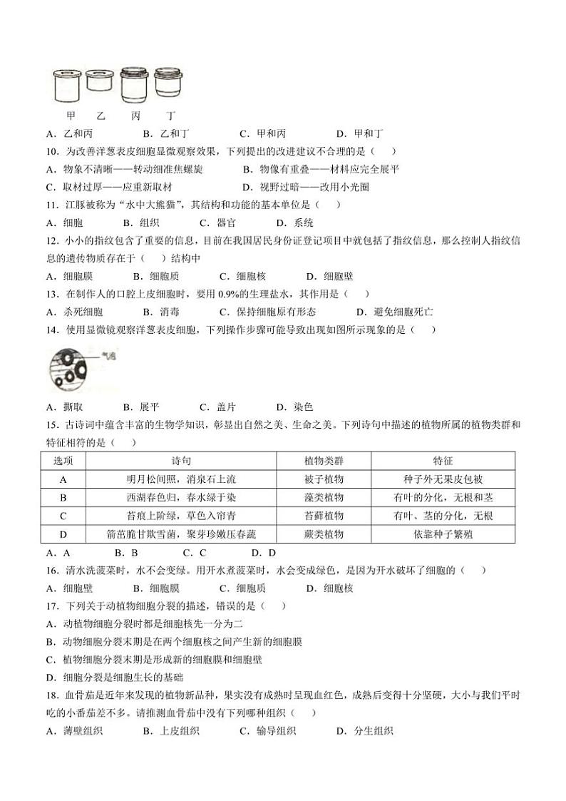 山东省德州市陵城区2024~2025学年七年级(上)期中生物试卷(含答案)第2页