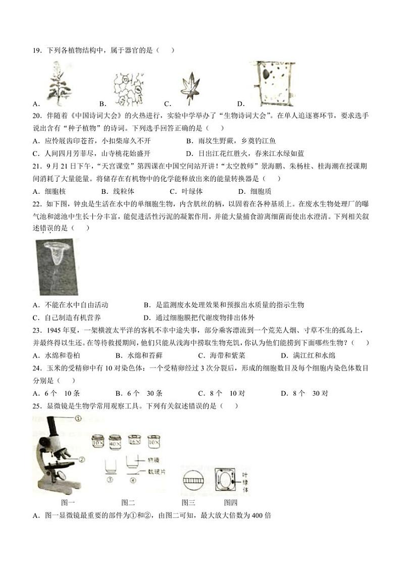 山东省德州市陵城区2024~2025学年七年级(上)期中生物试卷(含答案)第3页