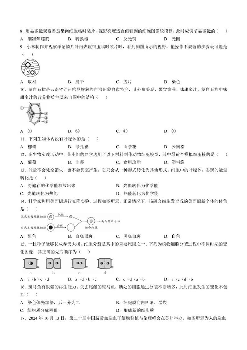 云南省曲靖市2024~2025学年七年级(上)期中生物试卷(含答案)第2页