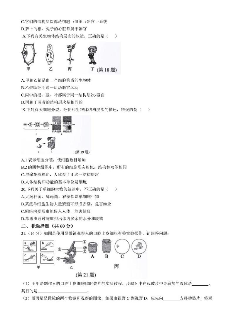 贵州省遵义市2024~2025学年七年级(上)期中生物试卷(含答案)第3页