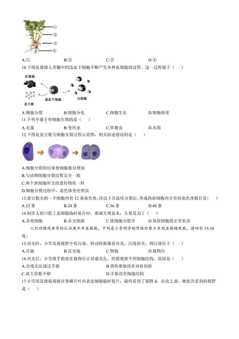 福建省宁德市霞浦县2024~2025学年七年级(上)期中生物试卷(含答案)02