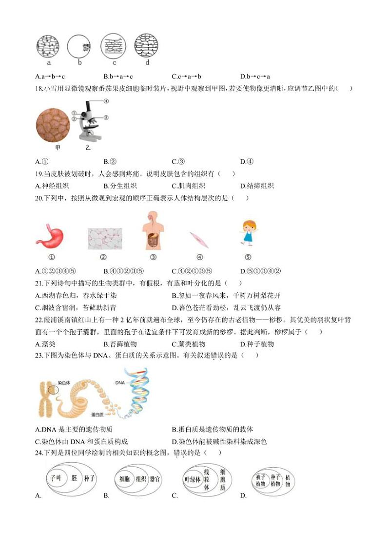 福建省宁德市霞浦县2024~2025学年七年级(上)期中生物试卷(含答案)03