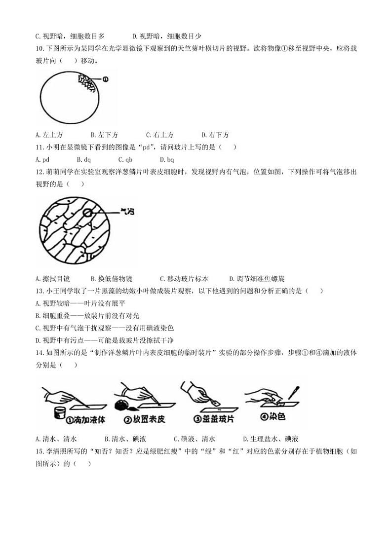 山东省临沂市莒南县2024~2025学年七年级(上)期中生物试卷(含答案)第2页