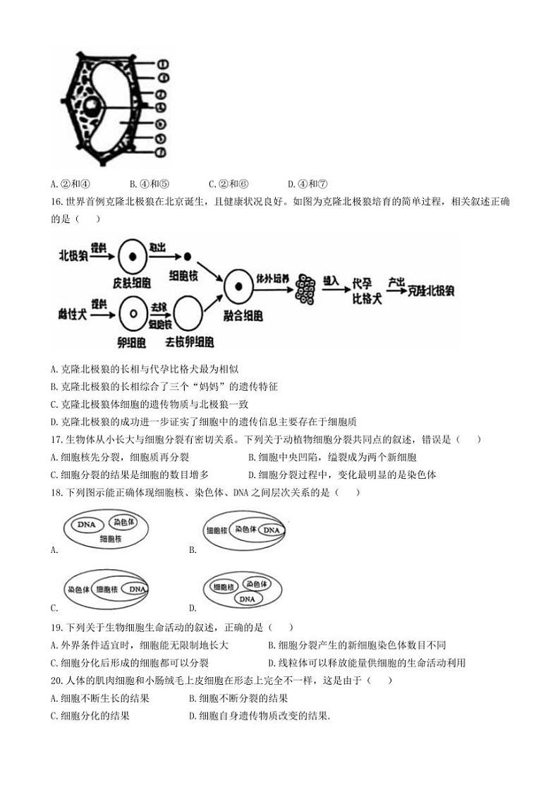 山东省临沂市莒南县2024~2025学年七年级(上)期中生物试卷(含答案)第3页