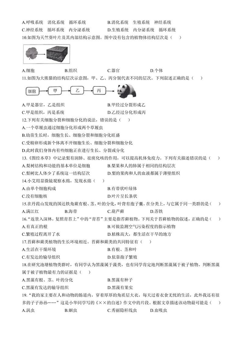 河北省邯郸市馆陶县2024~2025学年七年级(上)期中生物试卷(含答案)第2页