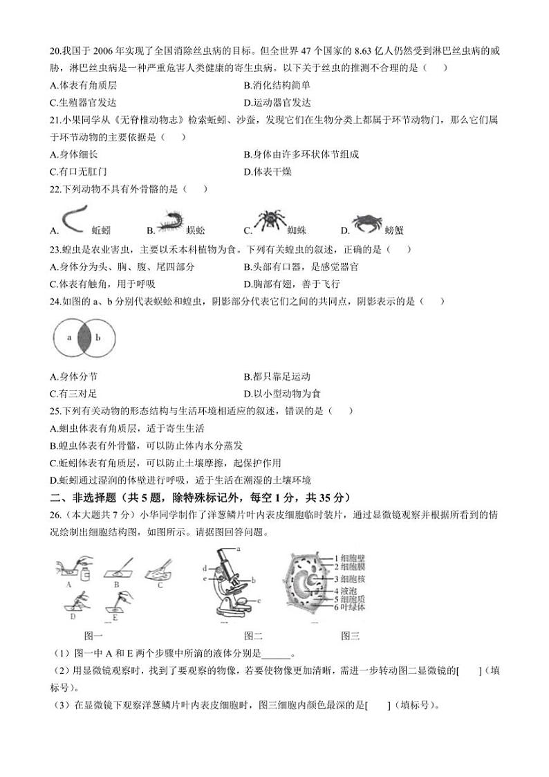 河北省邯郸市馆陶县2024~2025学年七年级(上)期中生物试卷(含答案)第3页
