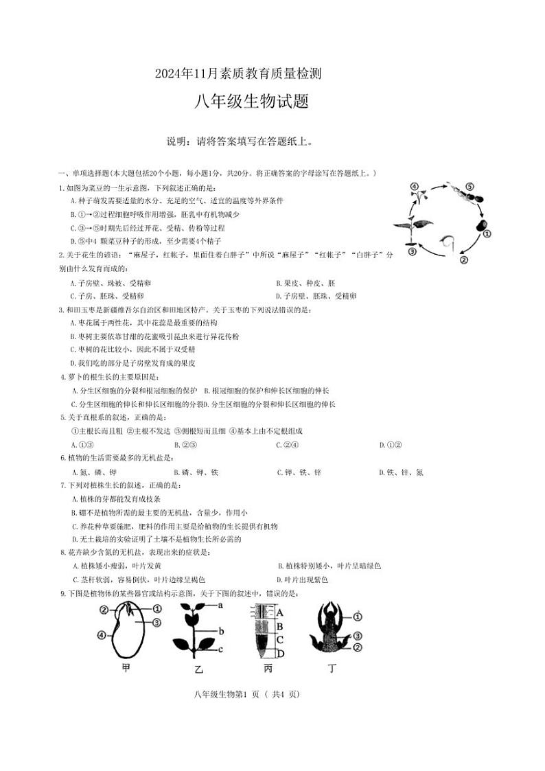 山东省菏泽市曹县2024~2025学年八年级(上)期中生物试卷(含答案)第1页