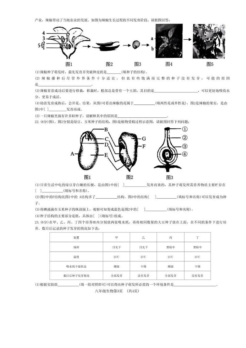 山东省菏泽市曹县2024~2025学年八年级(上)期中生物试卷(含答案)第3页