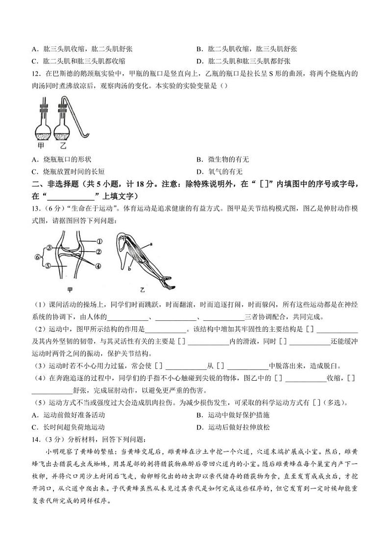 辽宁省葫芦岛市兴城市2024~2025学年八年级(上)期中生物试卷(含答案)02