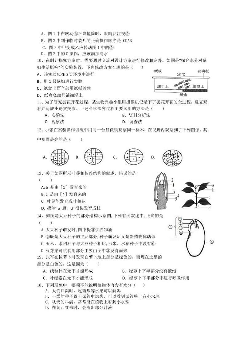 广东省揭阳市揭西县2024~2025学年九年级(上)期中生物试卷(含答案)02