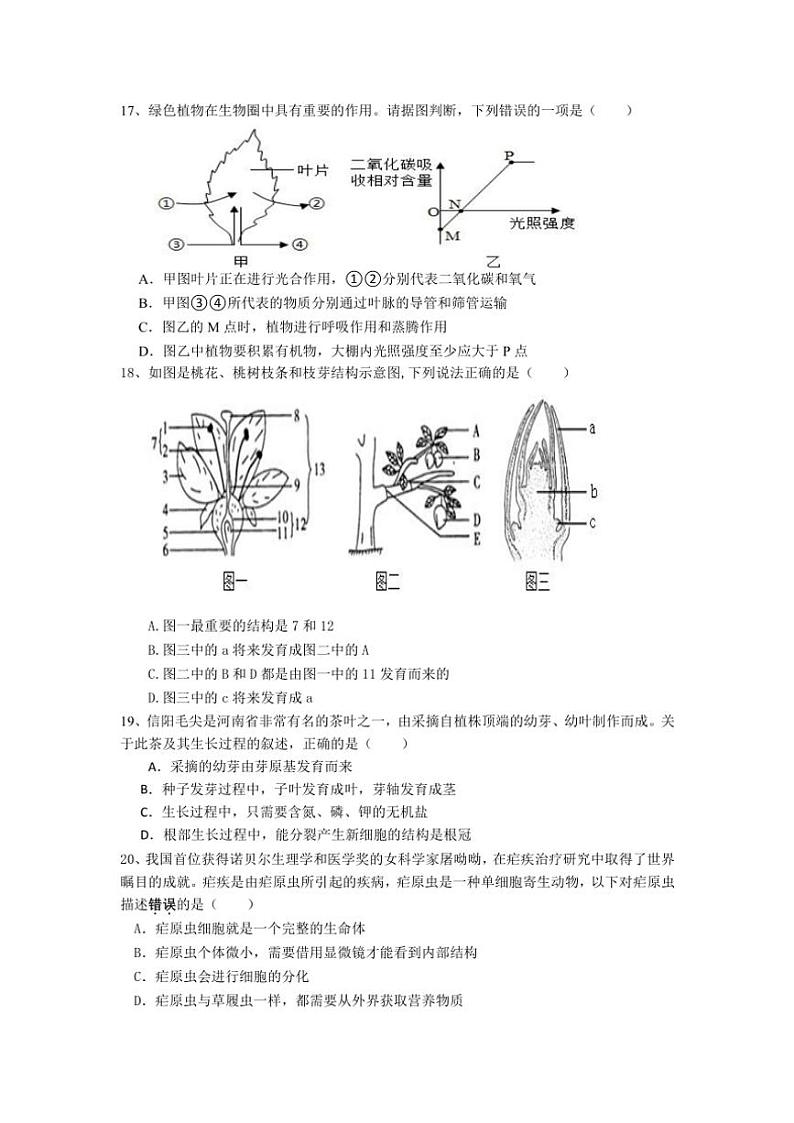 广东省揭阳市揭西县2024~2025学年九年级(上)期中生物试卷(含答案)03