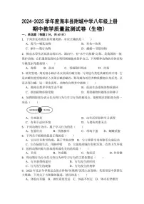 广东省汕尾市海丰县附城中学2024~2025学年八年级(上)期中生物试卷(含答案)