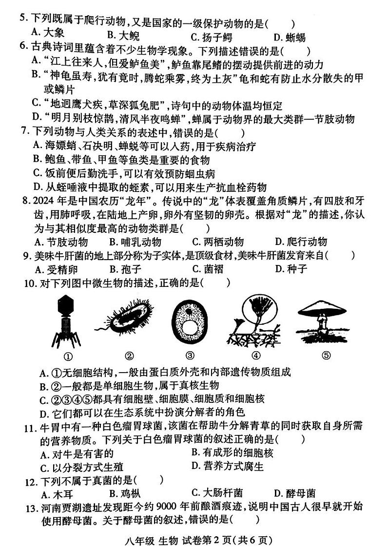 河南省洛阳市伊滨区、瀍河区2024-2025学年八年级上学期期中考试生物试题第2页