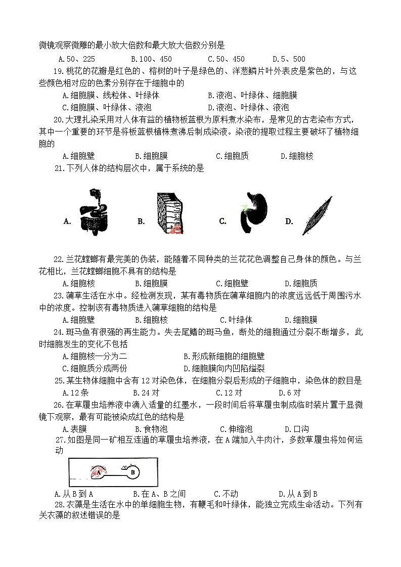 河南省洛阳市西工区2024-2025学年七年级上学期期中考试生物试卷03