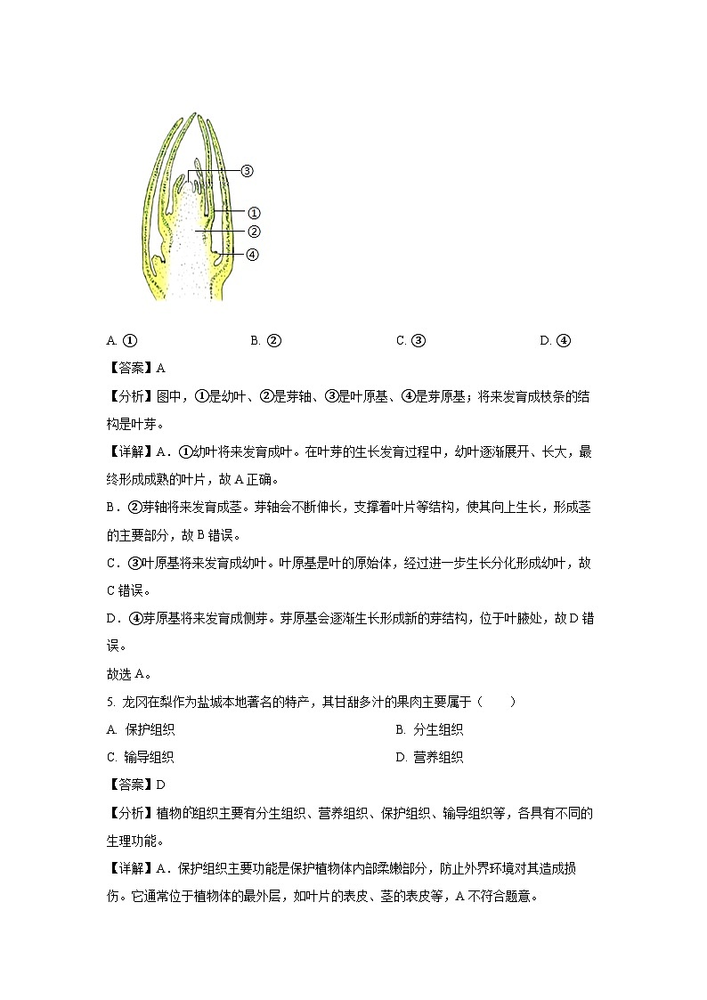 江苏省盐城市盐都区2023-2024学年七年级上学期期末生物试卷(解析版)03