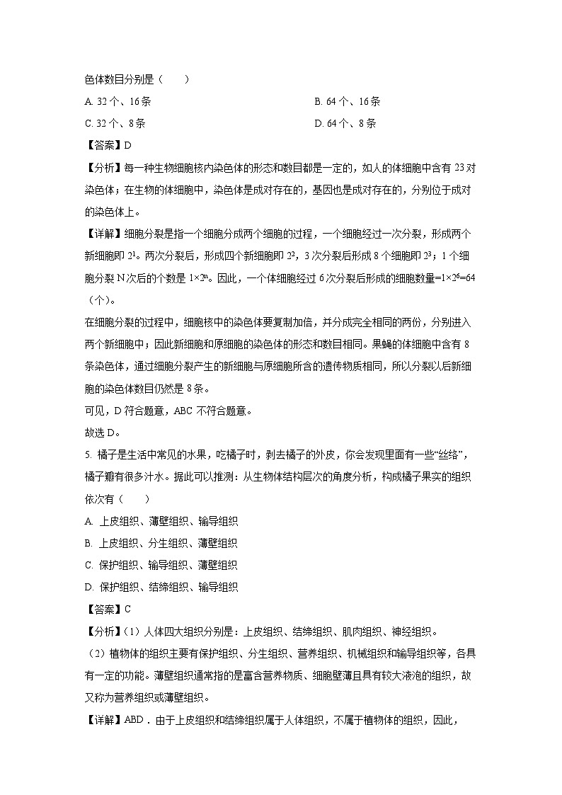 江苏省盐城市东台市第五联盟2024-2025学年七年级上学期9月月考生物试卷(解析版)第3页
