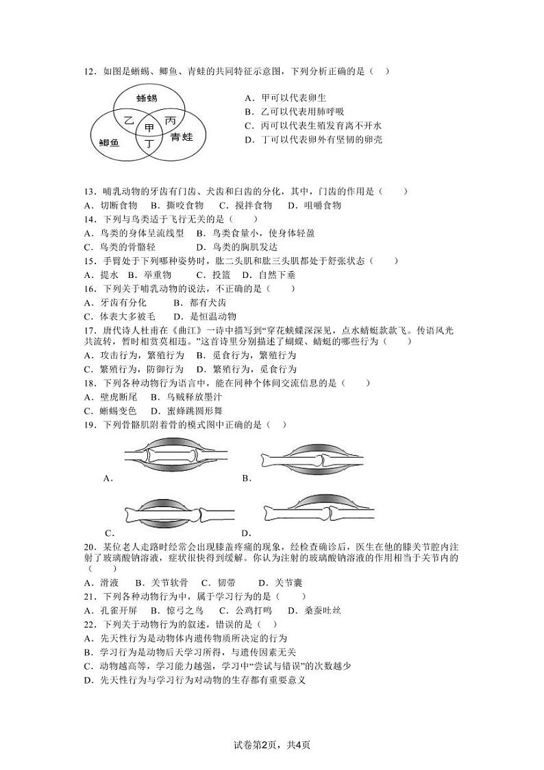 四川省泸定中学2024-2025学年八年级上学期11月期中生物试题02