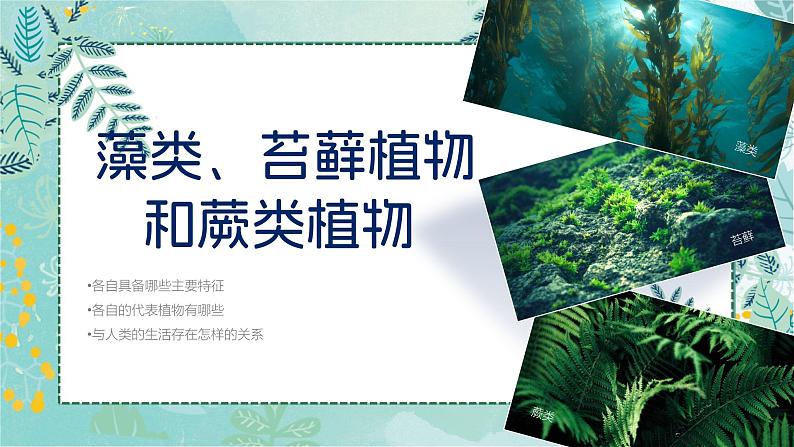 初中 生物 人教版(2024) 七年级上册(2024) 第二单元 多种多样的生物 第一章 植物的类群 第一节 藻类、 苔藓和蕨类 课件01