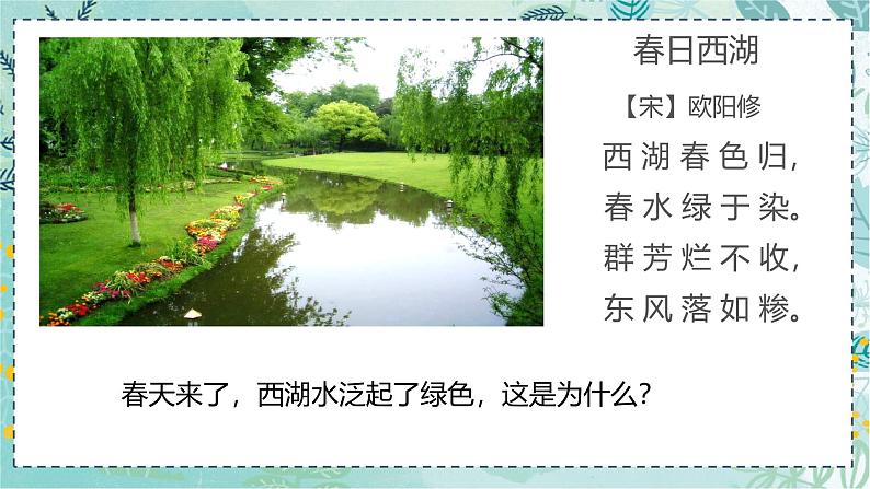初中 生物 人教版(2024) 七年级上册(2024) 第二单元 多种多样的生物 第一章 植物的类群 第一节 藻类、 苔藓和蕨类 课件04