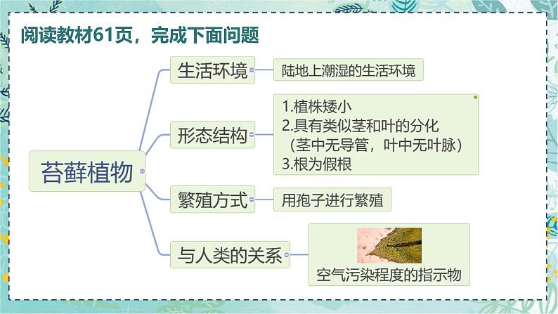 初中 生物 人教版(2024) 七年级上册(2024) 第二单元 多种多样的生物 第一章 植物的类群 第一节 藻类、 苔藓和蕨类 课件07