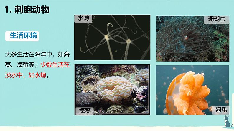 初中 生物 人教版(2024) 七年级上册 第二单元 第二章 动物的类群 第一节 无脊椎动物 课件第4页
