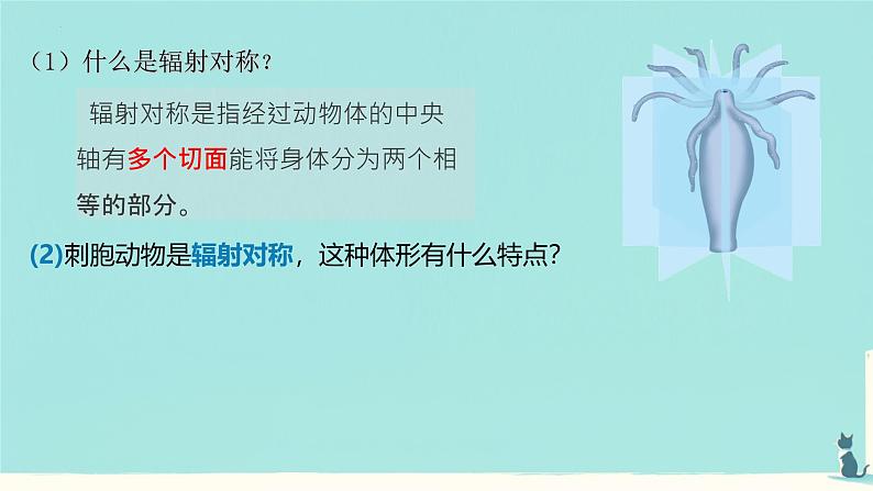 初中 生物 人教版(2024) 七年级上册 第二单元 第二章 动物的类群 第一节 无脊椎动物 课件第8页