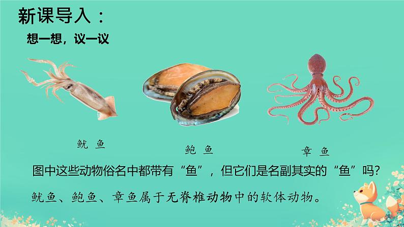 初中 生物 人教版(2024) 七年级上册 第二单元 第二章 动物的类群 第一节 无脊椎动物 课件第3页