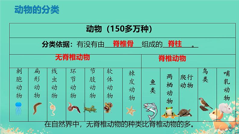 初中 生物 人教版(2024) 七年级上册 第二单元 第二章 动物的类群 第一节 无脊椎动物 课件第4页