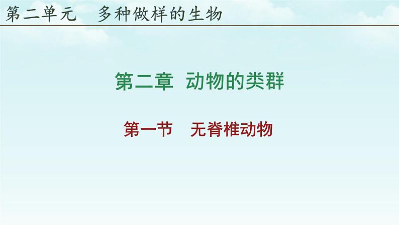 初中 生物 人教版(2024) 七年级上册 第二单元 第二章 动物的类群 第一节 无脊椎动物 课件02