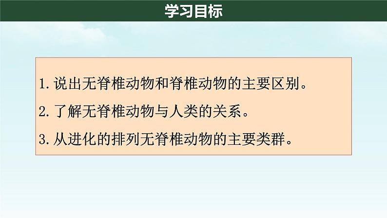 初中 生物 人教版(2024) 七年级上册 第二单元 第二章 动物的类群 第一节 无脊椎动物 课件03