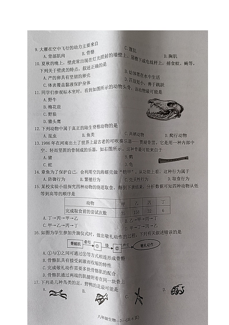 福建省福州市连江县2024-2025学年八年级上学期期中考试生物试题第2页