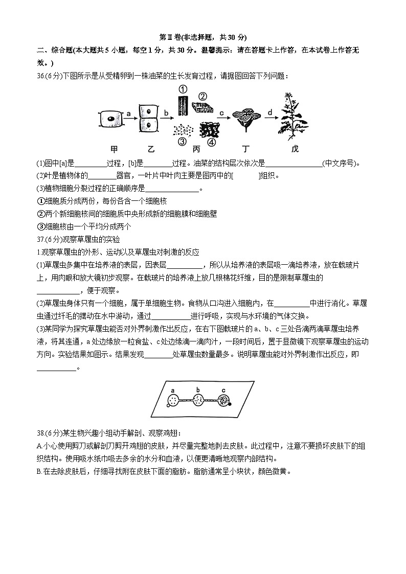 广西贵港市覃塘区2024-2025学年七年级上学期期中生物学试题第3页